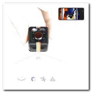 Hidden Camera Dog Piano